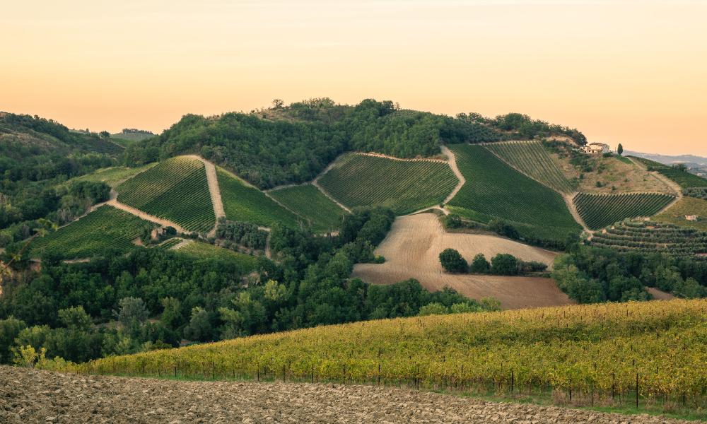 Percorso Naturalistico vallata del Tesino