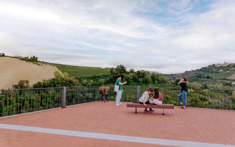 Foto Francesca/Montalto_Metroborgo delle Marche 2025 HI-155.jpg