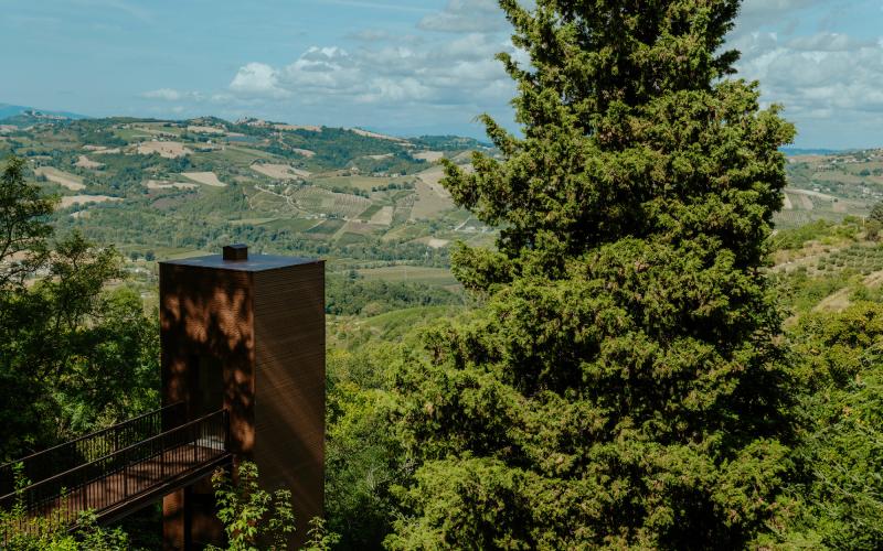 Foto Francesca/Montalto_Metroborgo delle Marche 2025 HI-202.jpg