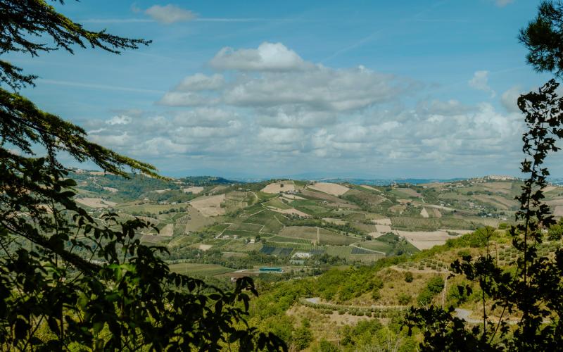 Foto Francesca/Montalto_Metroborgo delle Marche 2025 HI-204.jpg