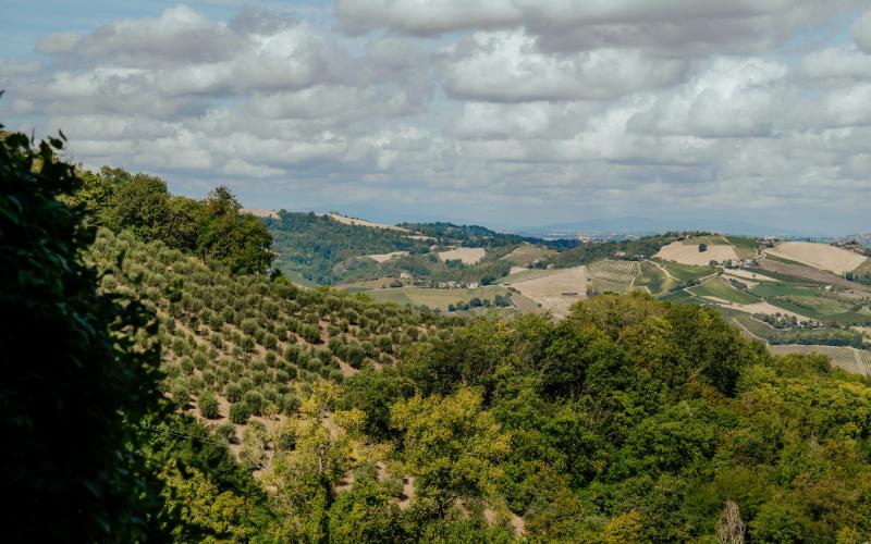 Foto Francesca/Montalto_Metroborgo delle Marche 2025 HI-206.jpg