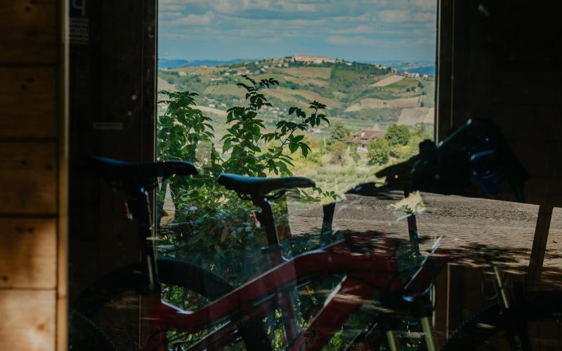 Foto Francesca/Montalto_Metroborgo delle Marche 2025 HI-209.jpg