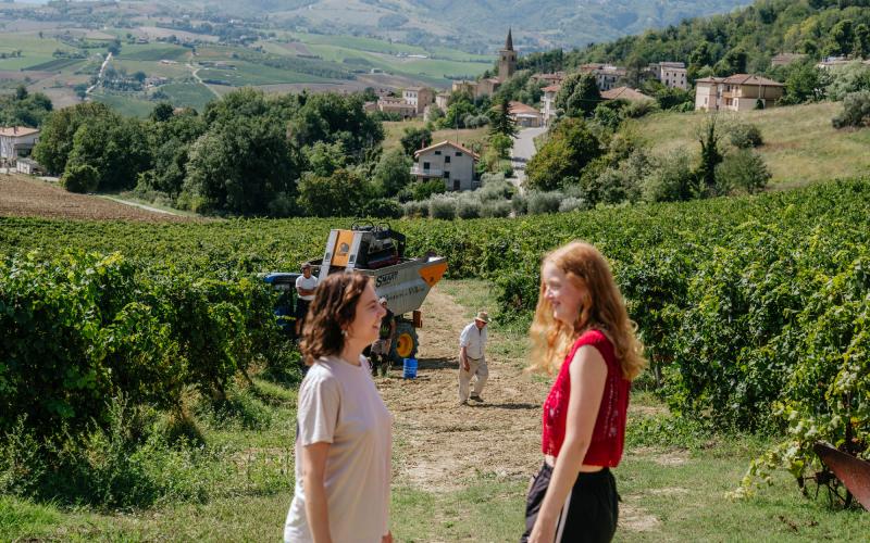 Foto Francesca/Montalto_Metroborgo delle Marche 2025 HI-215.jpg