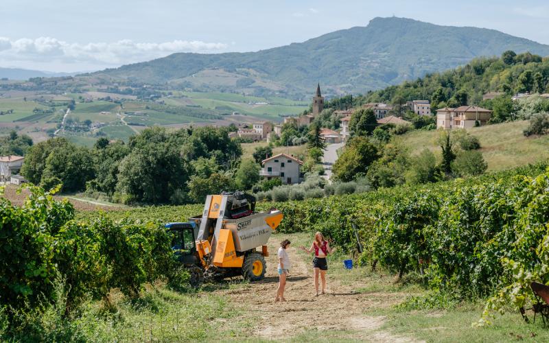 Foto Francesca/Montalto_Metroborgo delle Marche 2025 HI-217.jpg