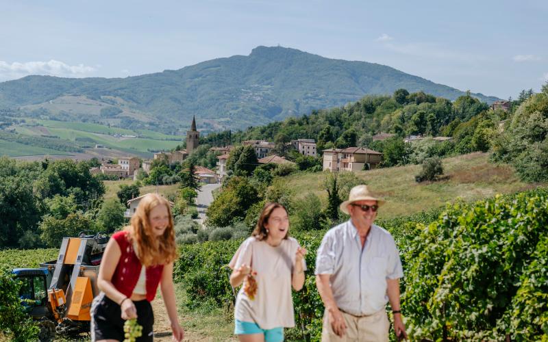 Foto Francesca/Montalto_Metroborgo delle Marche 2025 HI-225.jpg