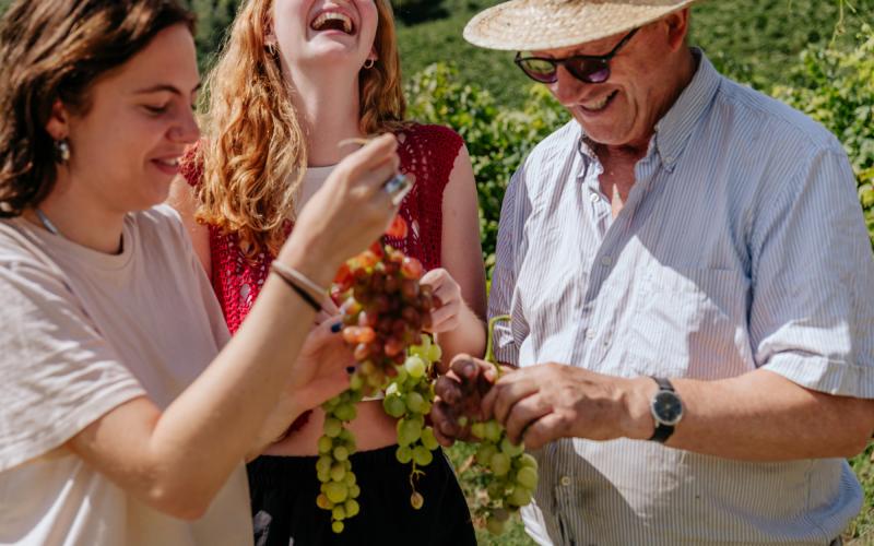 Foto Francesca/Montalto_Metroborgo delle Marche 2025 HI-227.jpg