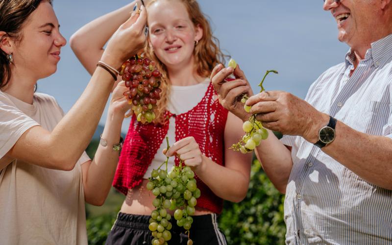 Foto Francesca/Montalto_Metroborgo delle Marche 2025 HI-236.jpg