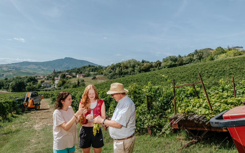 Foto Francesca/Montalto_Metroborgo delle Marche 2025 HI-238.jpg