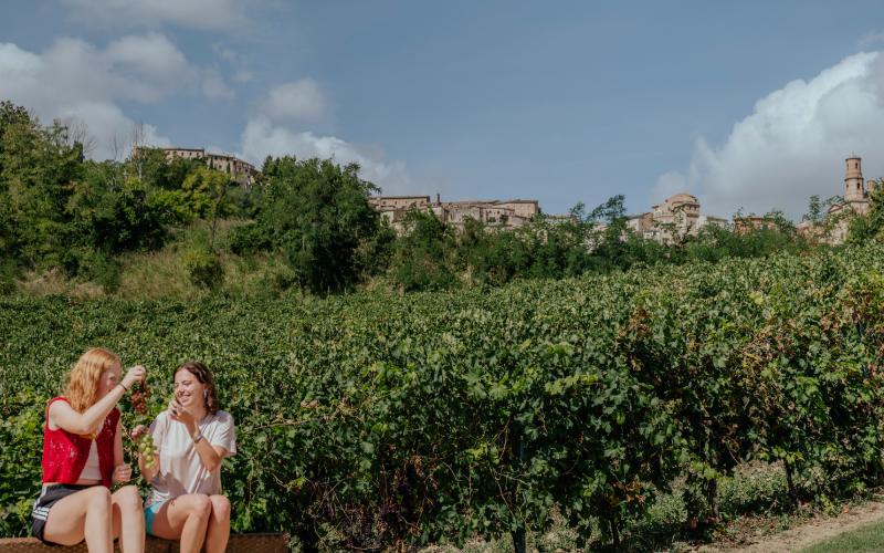 Foto Francesca/Montalto_Metroborgo delle Marche 2025 HI-244.jpg