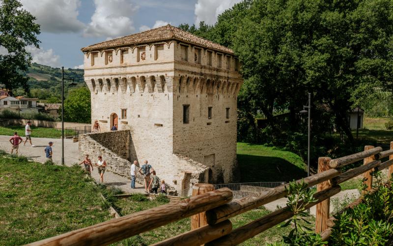 Foto Francesca/Montalto_Metroborgo delle Marche 2025 HI-259.jpg