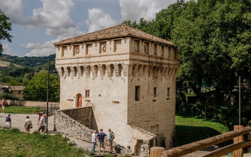 Foto Francesca/Montalto_Metroborgo delle Marche 2025 HI-261.jpg