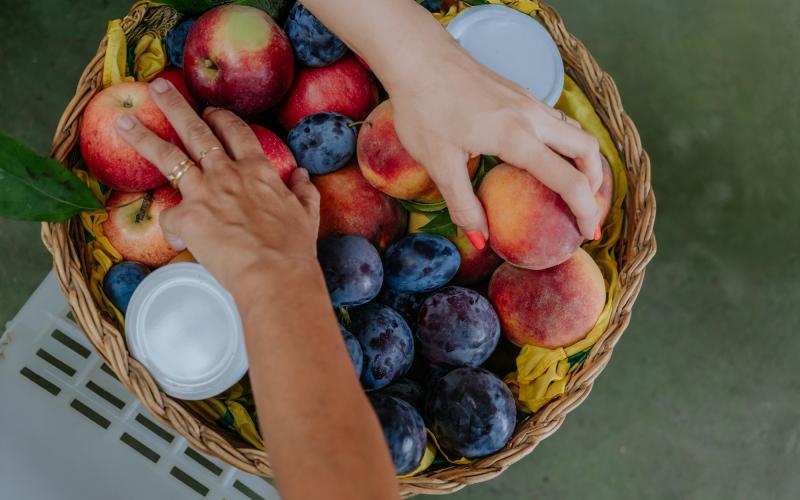 Foto Francesca/Montalto_Metroborgo delle Marche 2025 HI-323.jpg