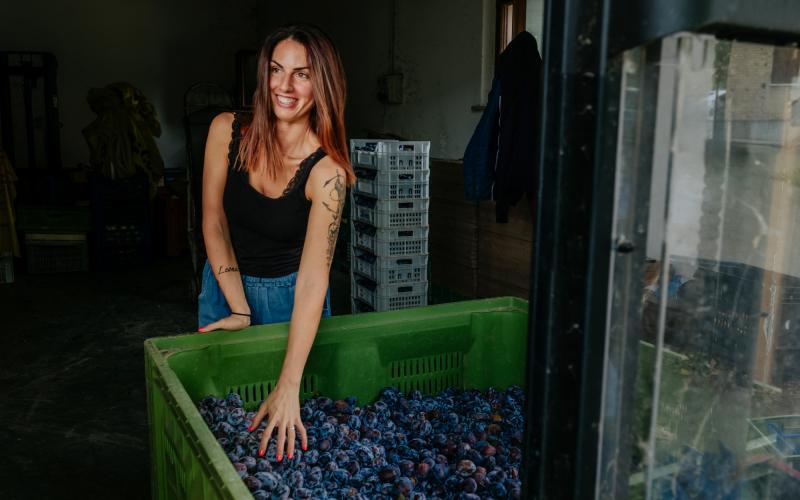 Foto Francesca/Montalto_Metroborgo delle Marche 2025 HI-324.jpg