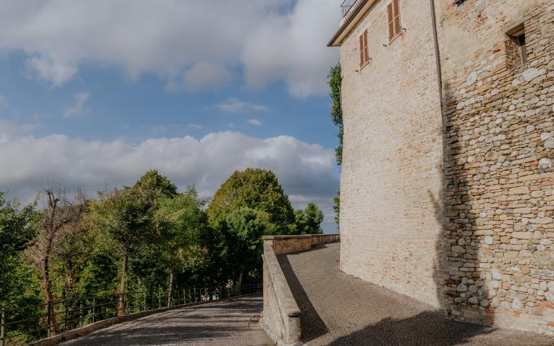 Foto Francesca/Montalto_Metroborgo delle Marche 2025 HI-366.jpg