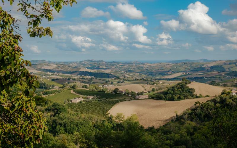 Foto Francesca/Montalto_Metroborgo delle Marche 2025 HI-370.jpg