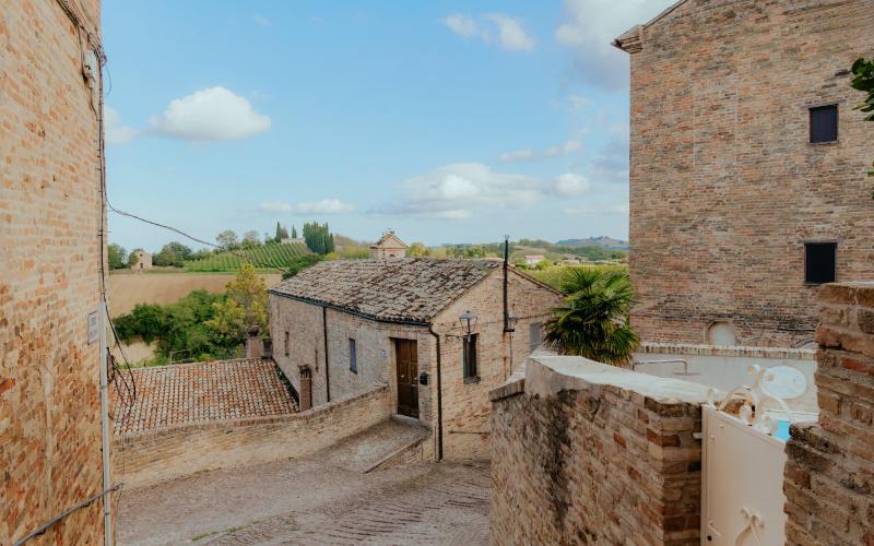 Foto Francesca/Montalto_Metroborgo delle Marche 2025 HI-378.jpg