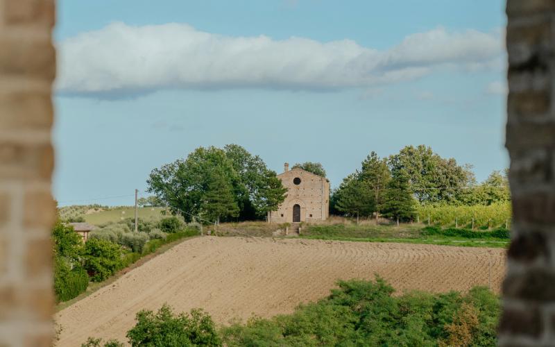 Foto Francesca/Montalto_Metroborgo delle Marche 2025 HI-411.jpg