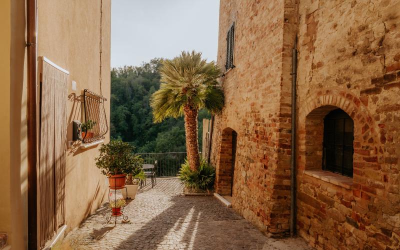 Foto Francesca/Montalto_Metroborgo delle Marche 2025 HI-431.jpg