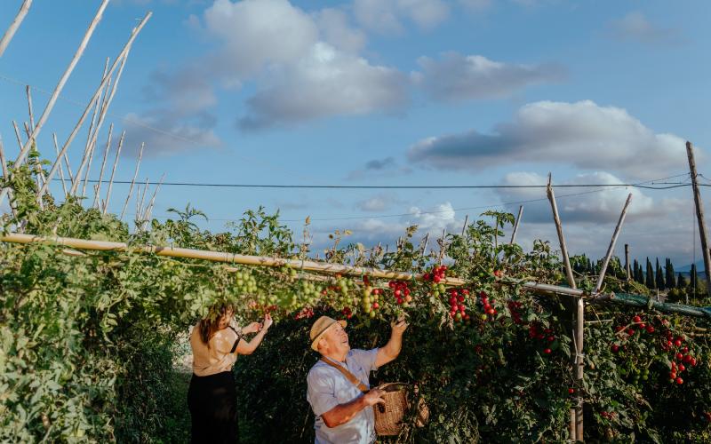 Foto Francesca/Montalto_Metroborgo delle Marche 2025 HI-438.jpg