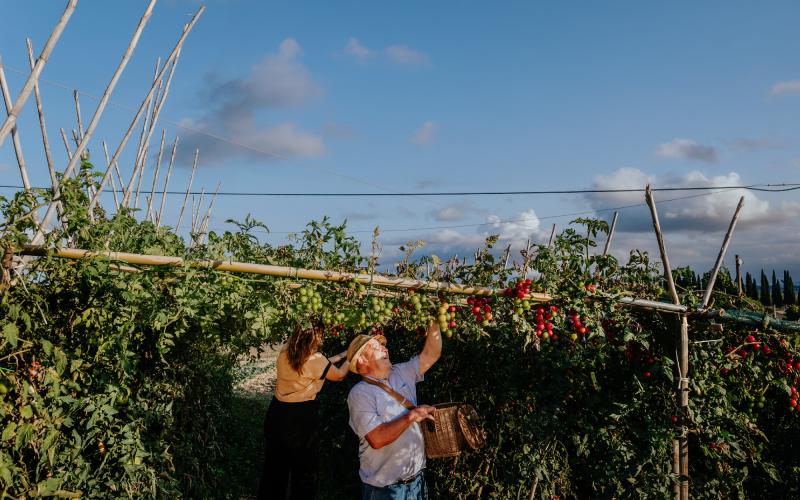 Foto Francesca/Montalto_Metroborgo delle Marche 2025 HI-439.jpg