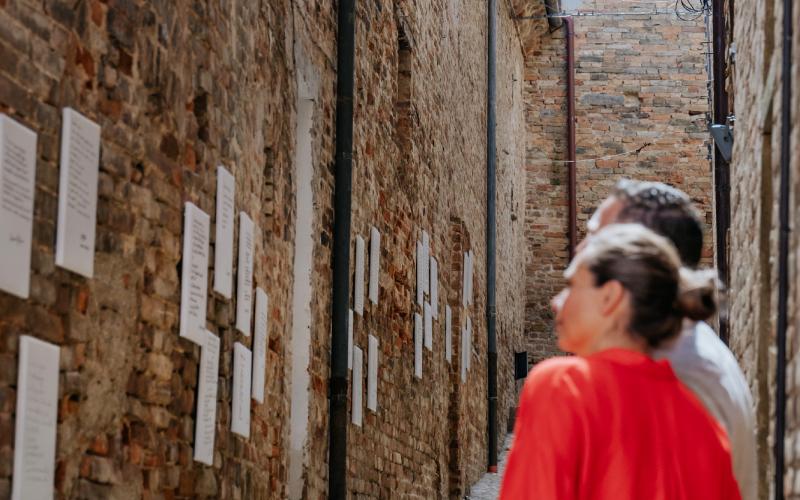 Foto Francesca/Montalto_Metroborgo delle Marche 2025 HI-45.jpg