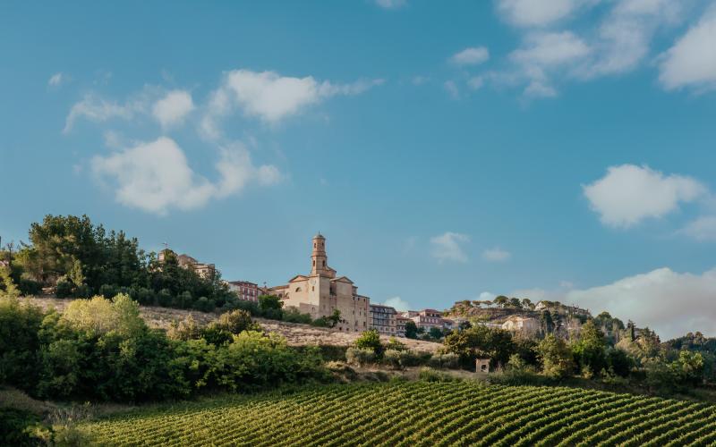 Foto Francesca/Montalto_Metroborgo delle Marche 2025 HI-448.jpg