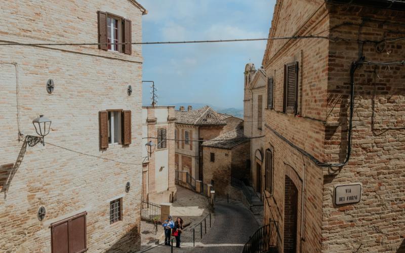 Foto Francesca/Montalto_Metroborgo delle Marche 2025 HI-71.jpg