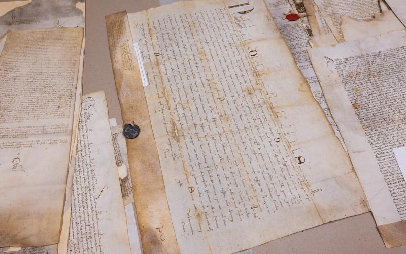 Foto Daniele/POI/Montalto 2 POI-10.jpg