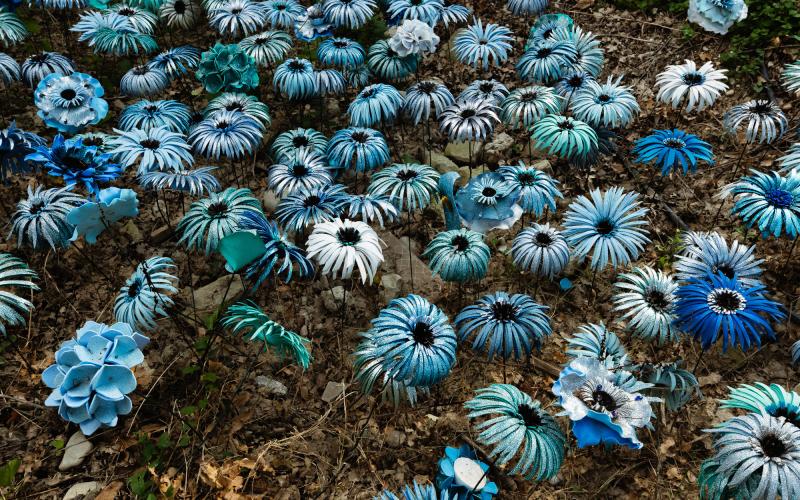 Foto Daniele/POI/Montalto-POI-107.jpg