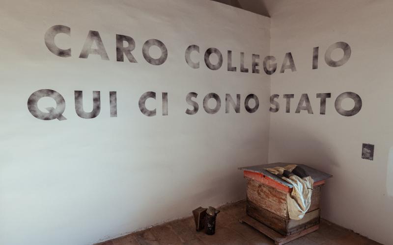 Foto Daniele/POI/Montalto-POI-113.jpg