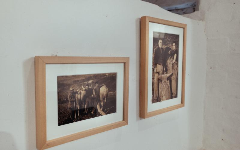 Foto Daniele/POI/Montalto-POI-115.jpg