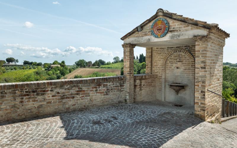 Foto Daniele/POI/Montalto-POI-154.jpg