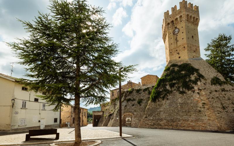 Foto Daniele/POI/Montalto-POI-193.jpg