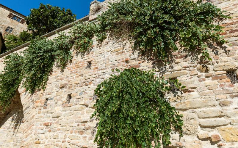 Foto Daniele/POI/Montalto-POI-32.jpg