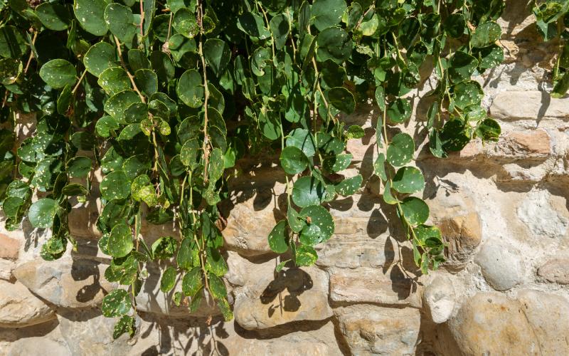 Foto Daniele/POI/Montalto-POI-33.jpg