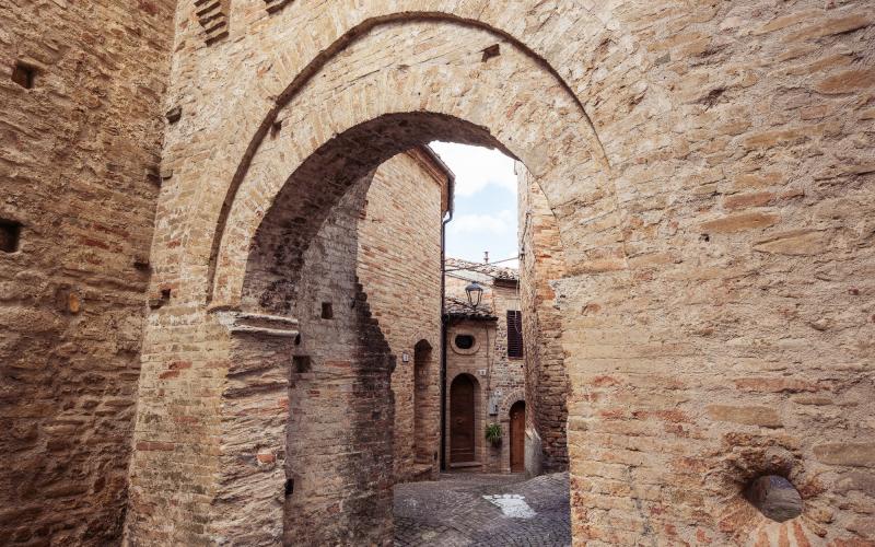 Foto Daniele/POI/Montalto-POI-62.jpg