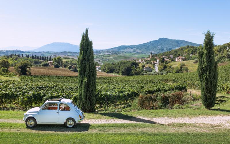 Foto Daniele/OPERATORI/Montalto-operatori-48 (1).jpg