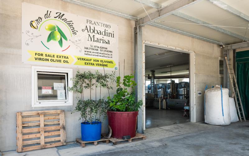 Foto Daniele/OPERATORI/Montalto-operatori-6 (1).jpg