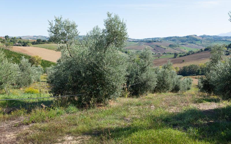 Foto Daniele/OPERATORI/Montalto-operatori-65.jpg