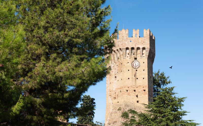 Foto Daniele/OPERATORI/Montalto-operatori-81.jpg