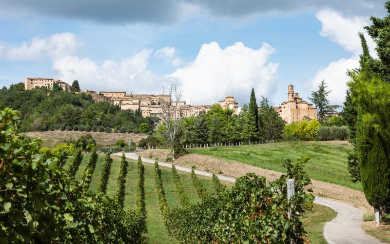 Foto Daniele/EXTRA/Montalto-Extra-2.jpg