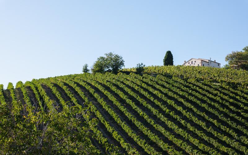 Foto Daniele/EXTRA/Montalto-Extra-6.jpg