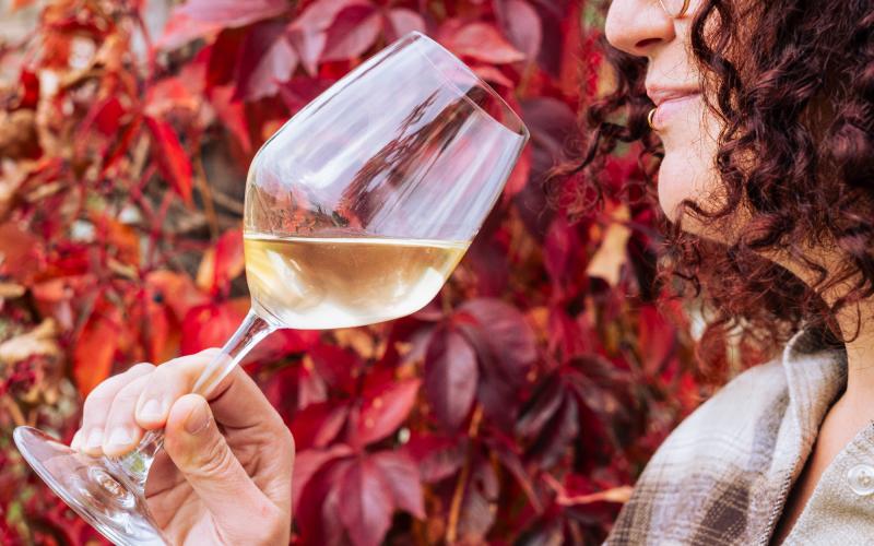 Foto Daniele/OLIO e VINO/Montalto 2 POI-16.jpg