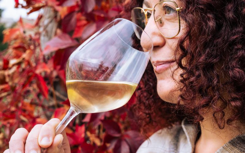 Foto Daniele/OLIO e VINO/Montalto 2 POI-17.jpg