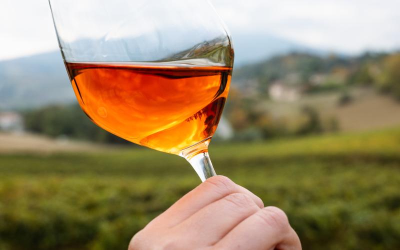 Foto Daniele/OLIO e VINO/Montalto 2 POI-21.jpg