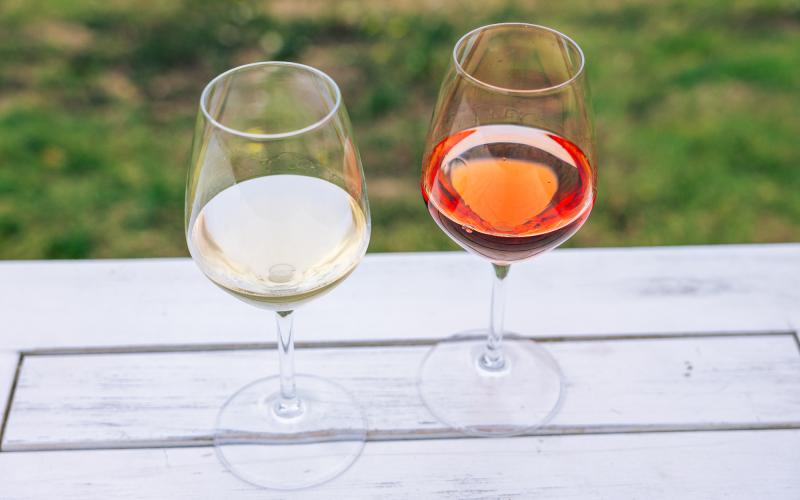 Foto Daniele/OLIO e VINO/Montalto 2 POI-3.jpg