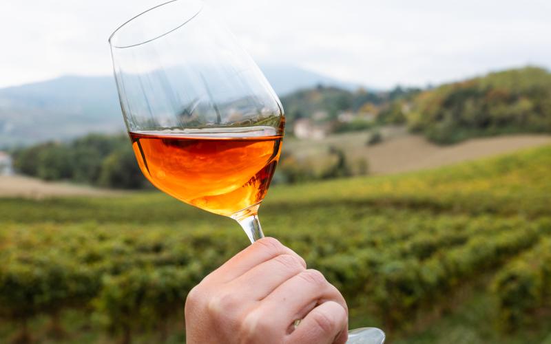 Foto Daniele/OLIO e VINO/Montalto 2 POI-22.jpg