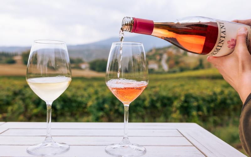 Foto Daniele/OLIO e VINO/Montalto 2 POI.jpg